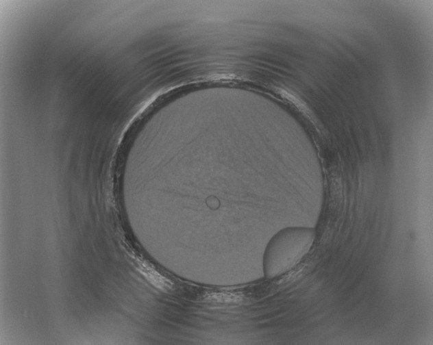 X0000066541023200604141900