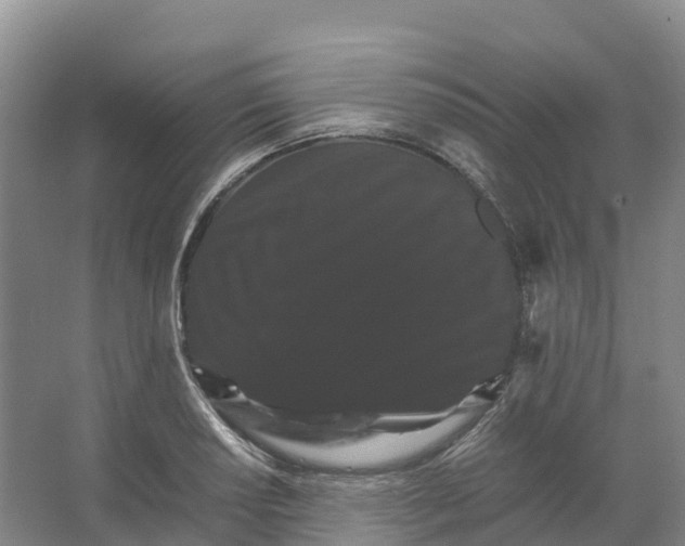 X0000066541034200604141900