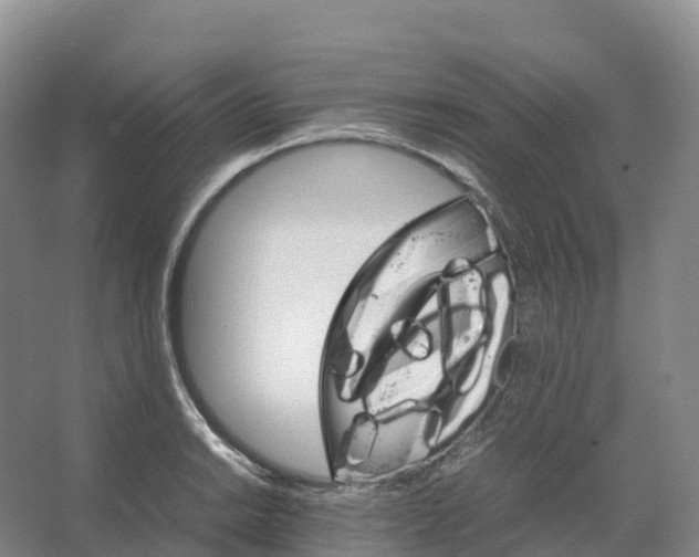 X0000066541038200604141900