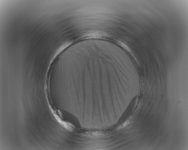 X0000066541042200604141900