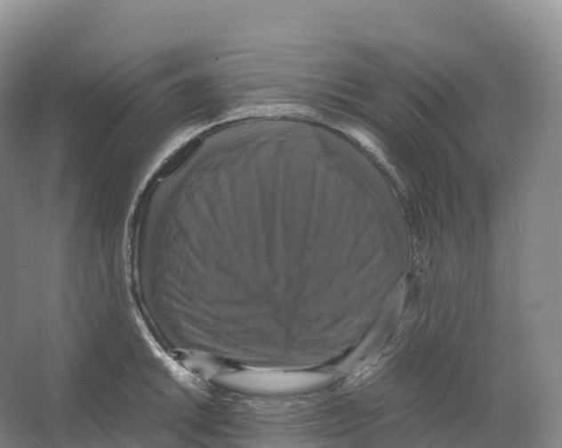 X0000066541046200604141900