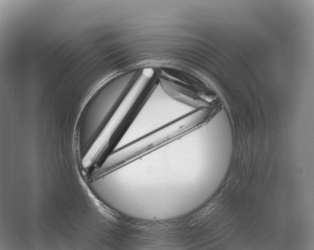 X0000066541050200604141900