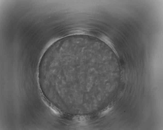 X0000066541051200604141900