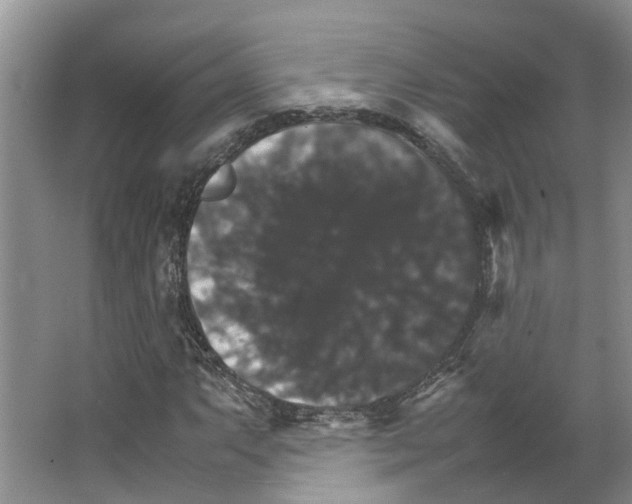 X0000066541063200604141859
