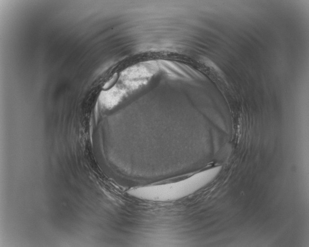 X0000066541064200604141859