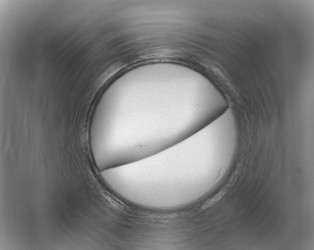 X0000066541073200604141859