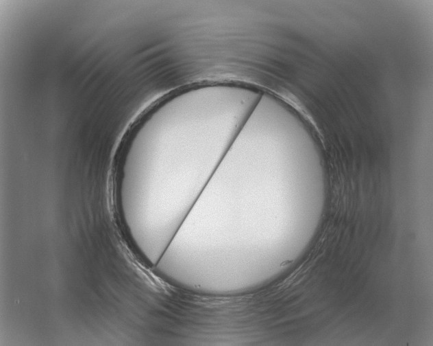 X0000066541076200604141859