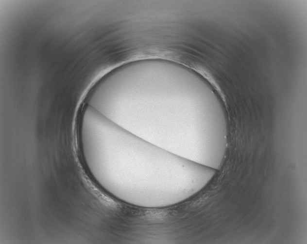 X0000066541080200604141859
