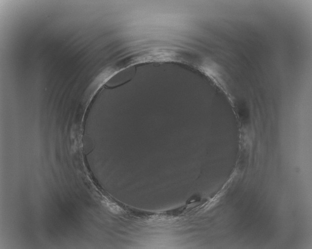 X0000066541081200604141859