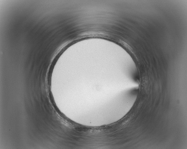 X0000066541082200604141859