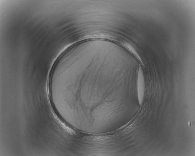 X0000066541084200604141859