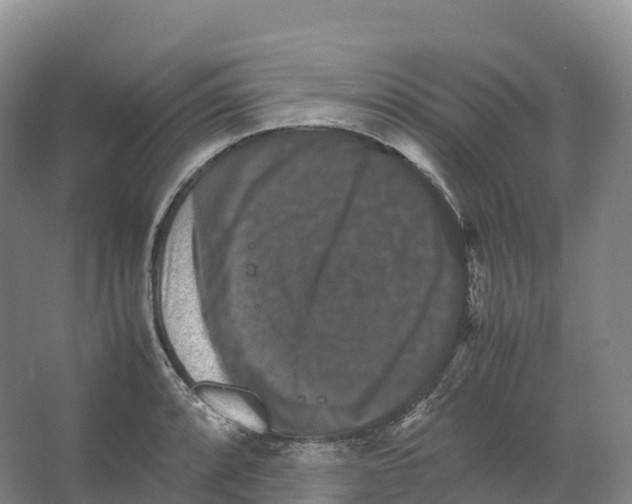 X0000066541088200604141859
