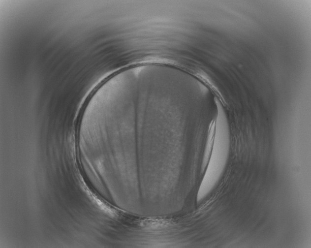 X0000066541092200604141859