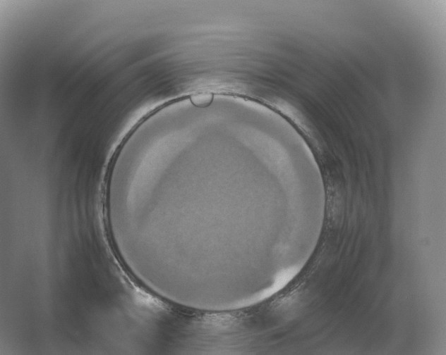 X0000066541094200604141859