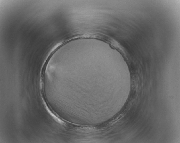 X0000066541095200604141859
