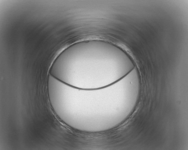 X0000066541097200604141859
