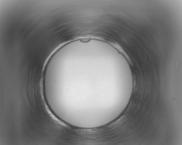 X0000066541100200604141859