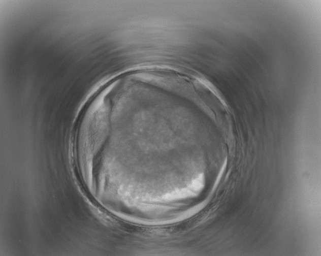 X0000066541101200604141859