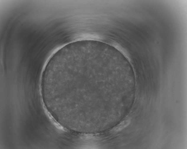 X0000066541104200604141859