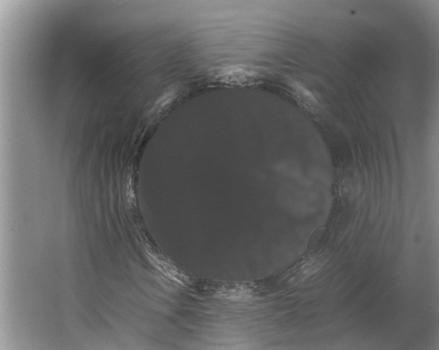 X0000066541106200604141858