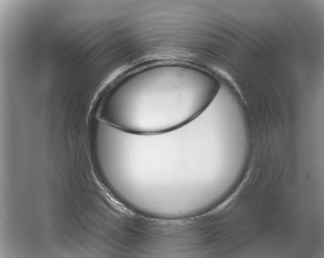X0000066541114200604141858