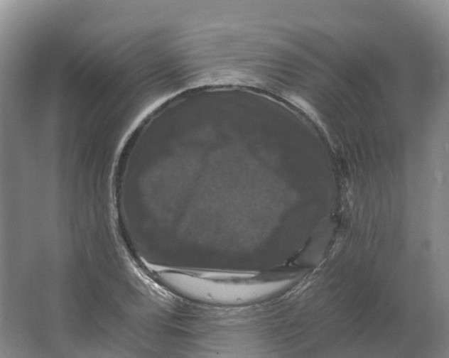 X0000066541120200604141858