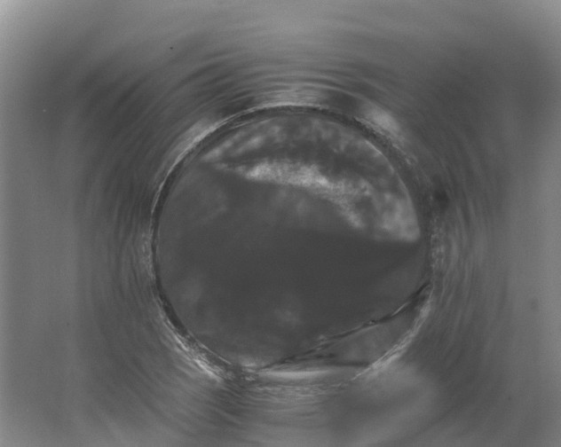 X0000066541121200604141858