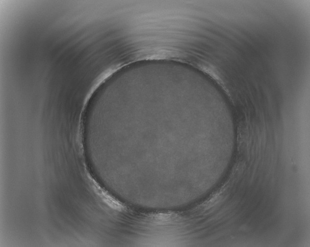 X0000066541122200604141858