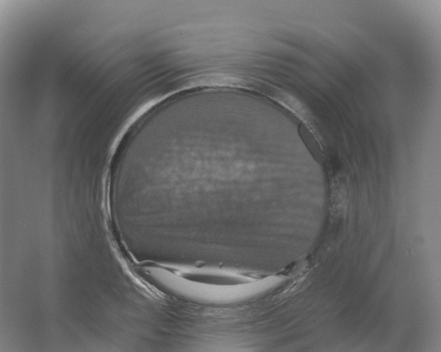 X0000066541128200604141858