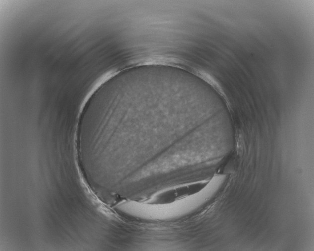 X0000066541138200604141859