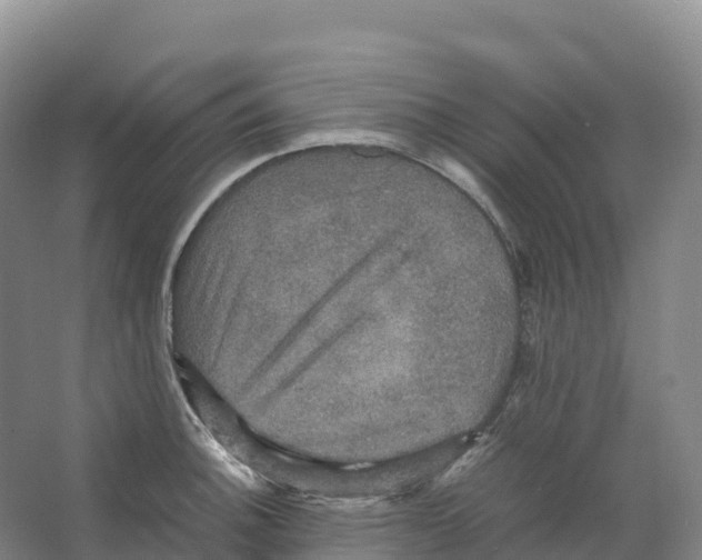 X0000066541140200604141859