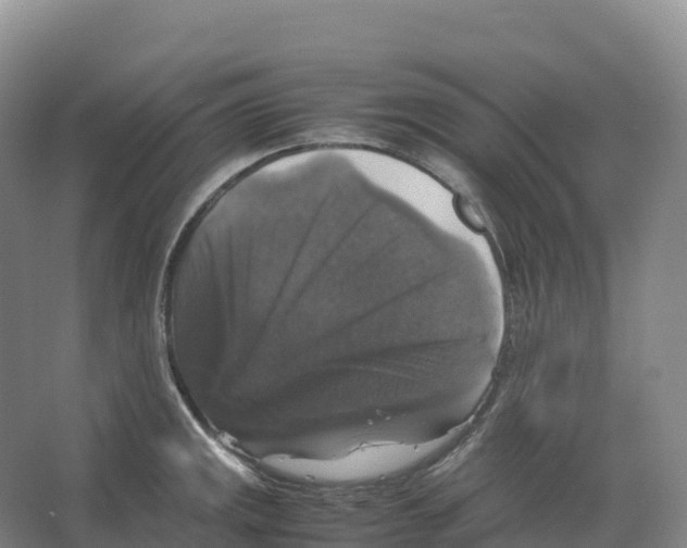 X0000066541141200604141859