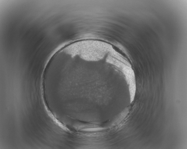 X0000066541142200604141859