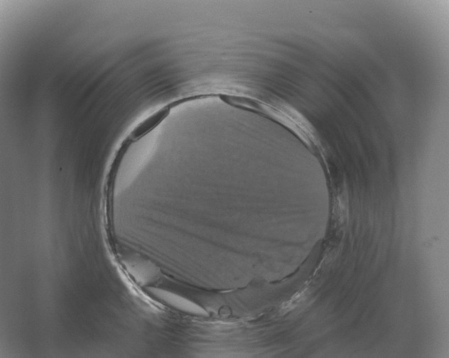 X0000066541144200604141859