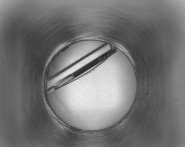 X0000066541146200604141859