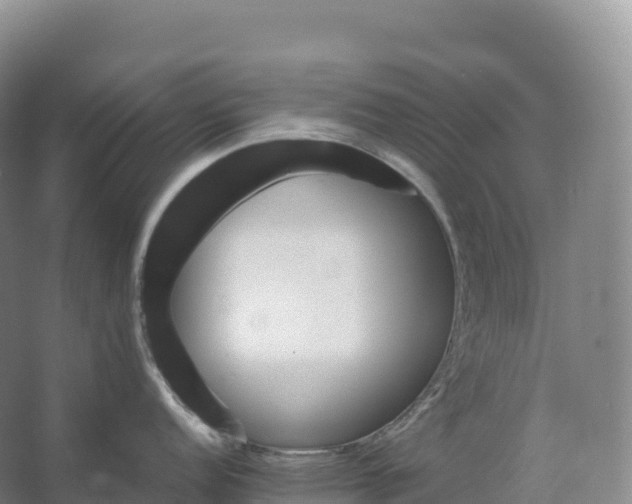 X0000066541152200604141859