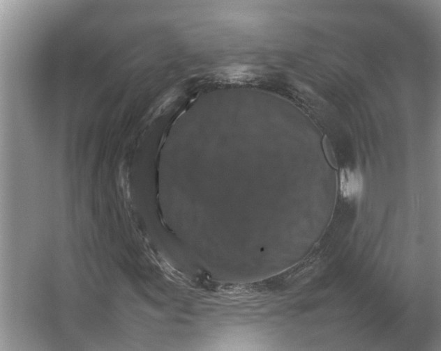 X0000066541155200604141858