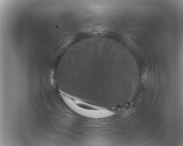 X0000066541156200604141858
