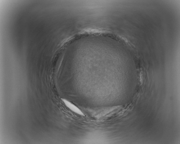 X0000066541157200604141858