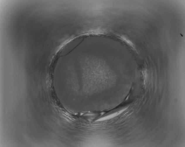 X0000066541160200604141858
