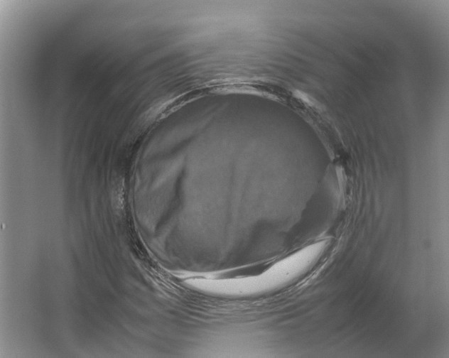 X0000066541161200604141858
