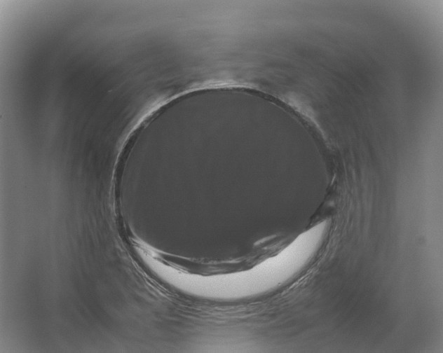 X0000066541173200604141858