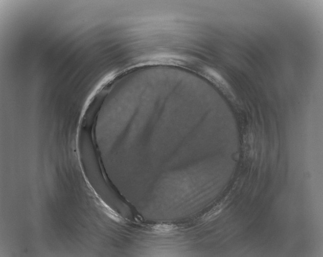X0000066541180200604141858