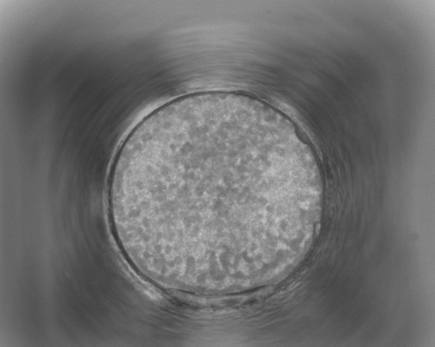 X0000066541187200604141857