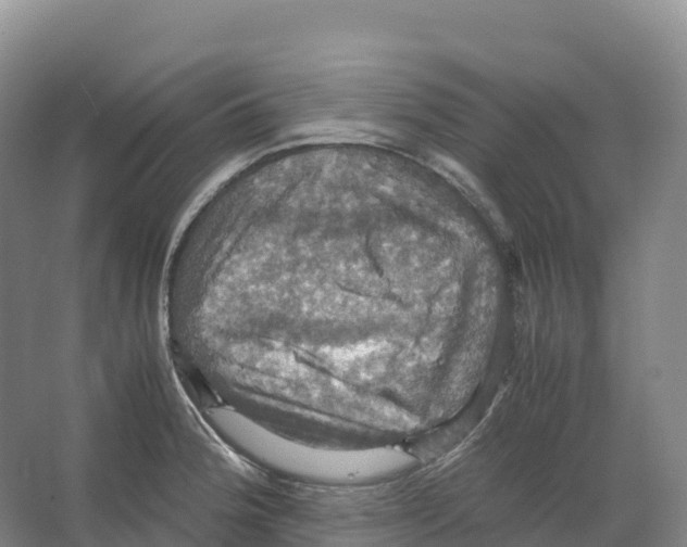 X0000066541188200604141857