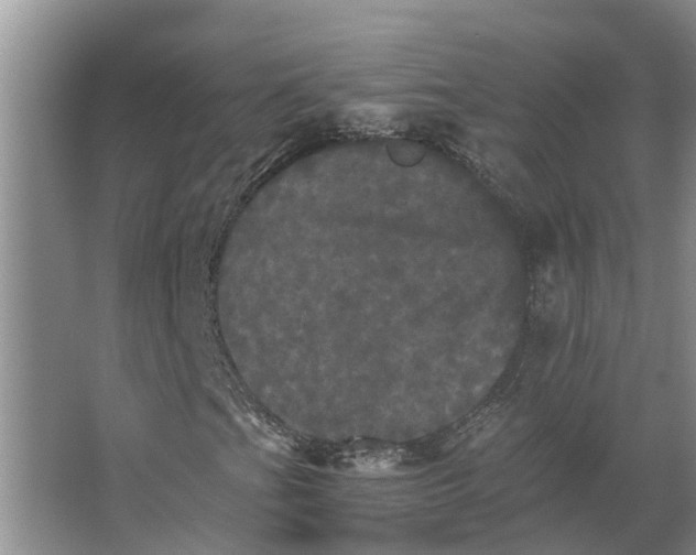X0000066541201200604141856