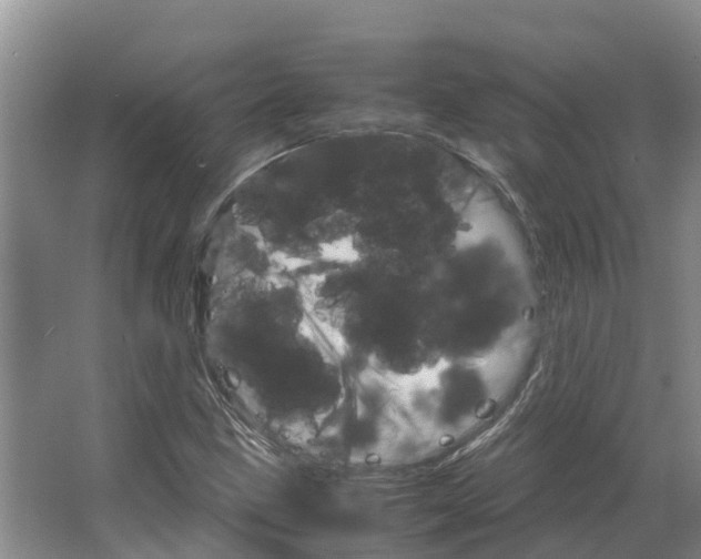 X0000066541211200604141857