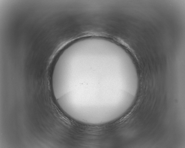 X0000066541215200604141857