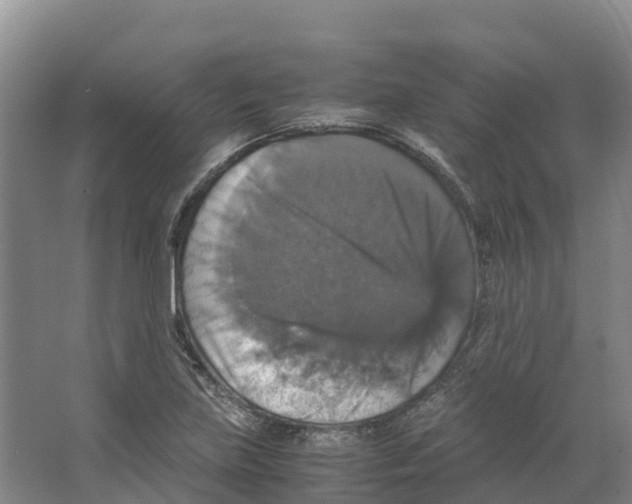 X0000066541219200604141857
