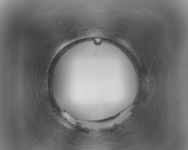 X0000066541222200604141857